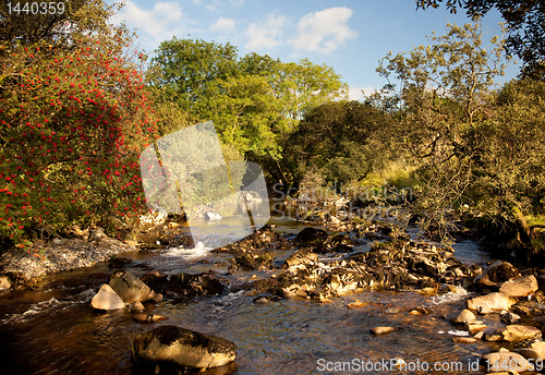 Image of River flowing in welsh valley