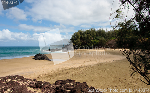 Image of Lumaha'i beach in Kauai