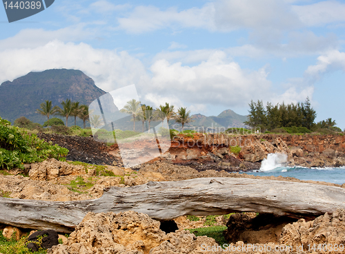 Image of Rocky formations by sea on Kauai