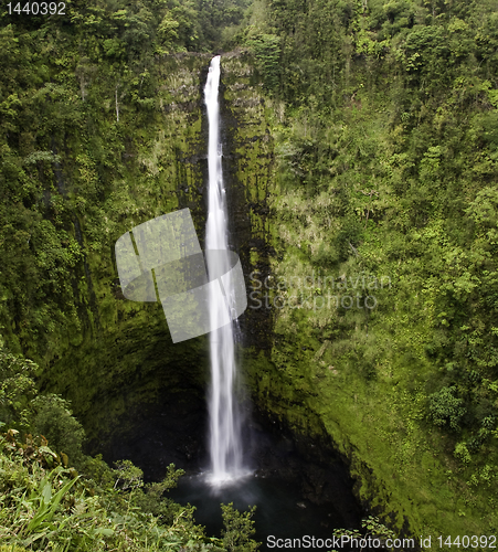 Image of Akaka Falls