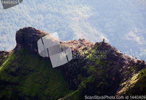 Image of Backlit view down Waimea Canyon