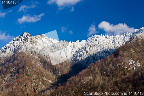 Image of Chimney Tops in snow in smokies