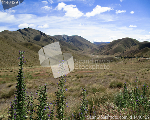 Image of Rolling countryside in New Zealand