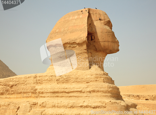 Image of Sphinx and Giza Pyramids in Egypt