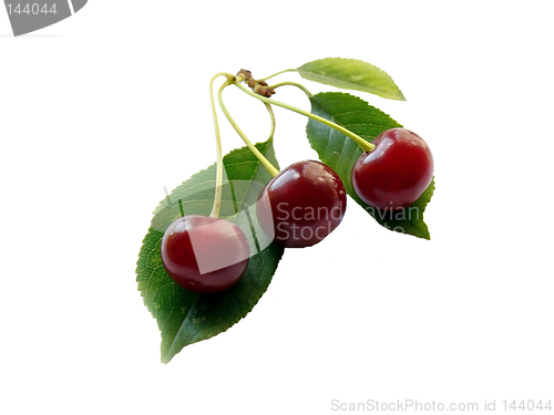 Image of Cherry