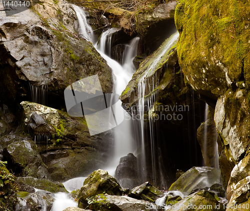 Image of Place of a Thousand Drips in Smokies