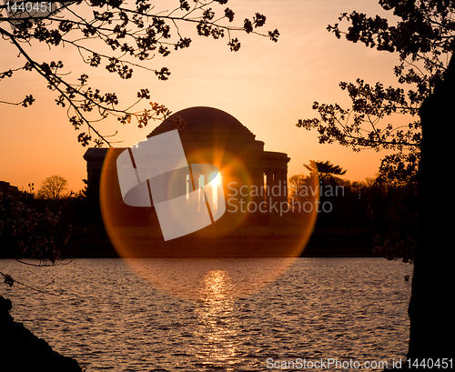 Image of Cherry Blossom and Jefferson Memorial