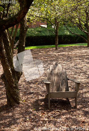 Image of Adirondack chair in forest shade