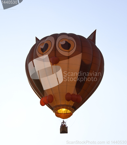 Image of Hot air balloon shaped like an owl