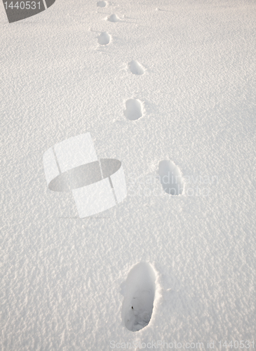 Image of Footsteps in snow