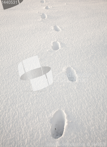 Image of Footsteps in snow