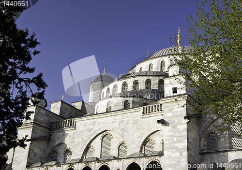 Image of Blue Mosque Domes framed by trees