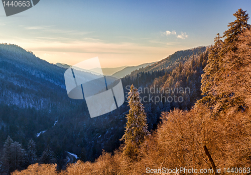 Image of Snow covered trees at sunset in Smoky Mountains