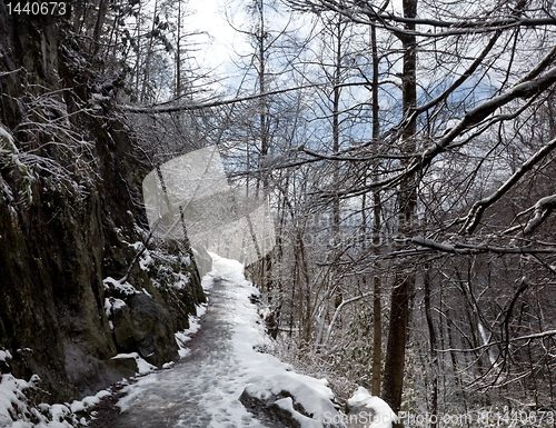 Image of Snowy hike in Smoky Mountains