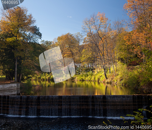 Image of Reflection of fall leaves