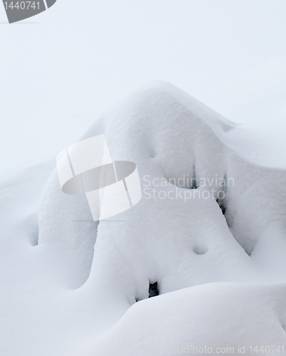 Image of Strange shape in deep snow