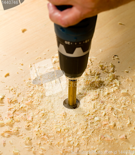 Image of Woodwork tools working on piece of plywood