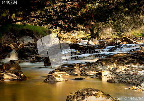 Image of Peat laden river in secluded Welsh Valley