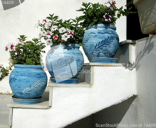 Image of flower pots