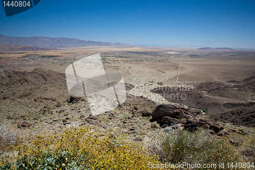 Image of Yellow bush frame Anza Borrego State Park