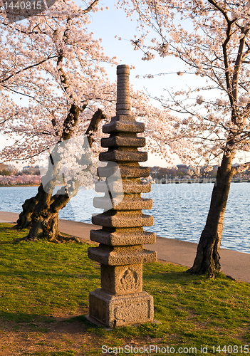 Image of Cherry Blossom and Japanese Monument