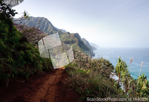 Image of Kalalau trail on north coast of Kauai