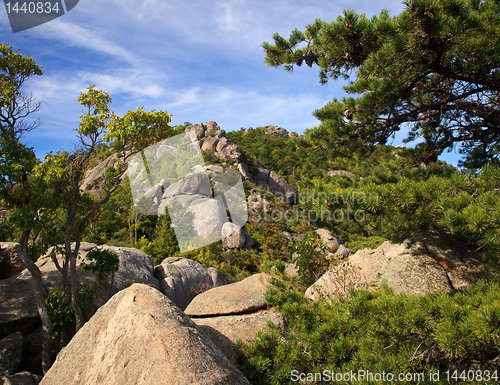 Image of Old Rag trail in Shenandoah valley