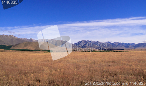 Image of Maize fields frame New Zealand mountains