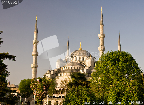 Image of Domes of Blue Mosque