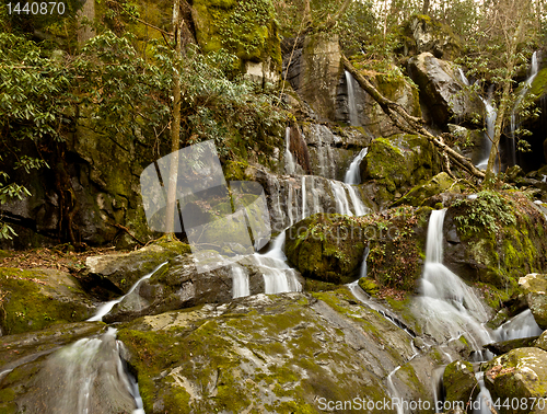 Image of Place of a Thousand Drips in Smokies