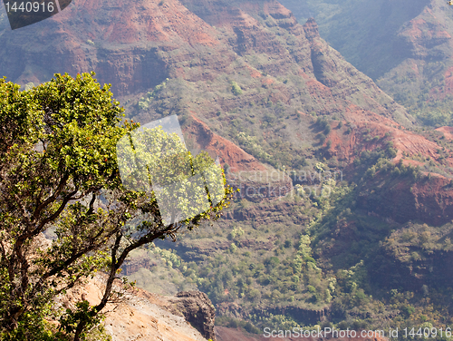 Image of Backlit view down Waimea Canyon