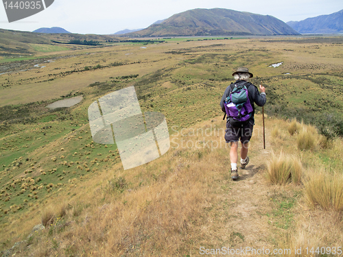Image of Hiker walking the hills of New Zealand