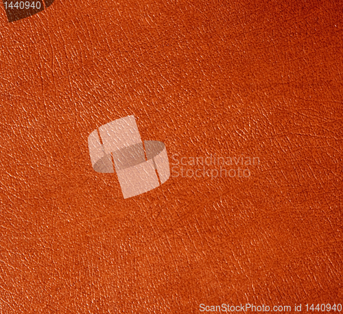 Image of Close-up of leather surface