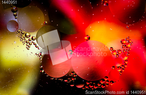 Image of Macro shot of abstract oil in water droplets