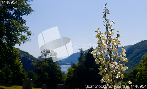 Image of Old cemetery in Harpers Ferry