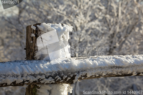 Image of Frozen snow on wooden fencing