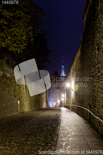 Image of Walk to Toompea