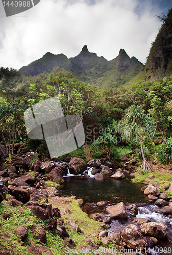 Image of Small stream flows from Kauai Mountain
