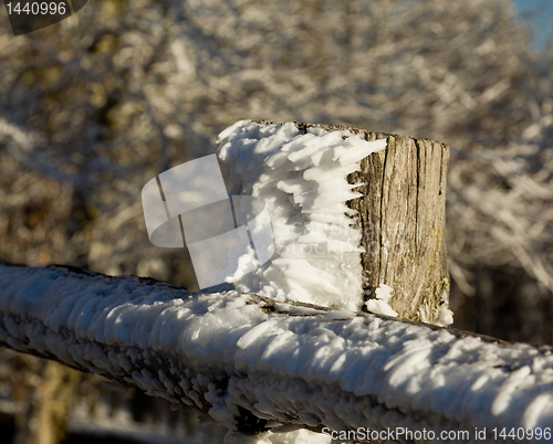 Image of Frozen snow on wooden fencing