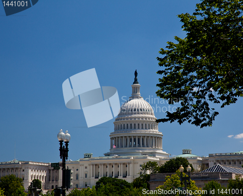 Image of Capitol Building framed by trees