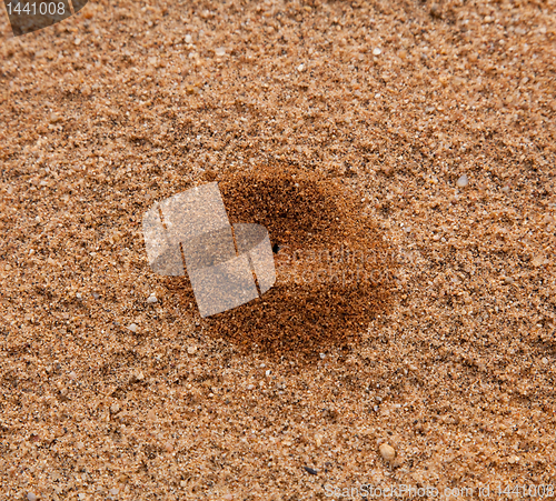 Image of Small sand pile in desert formed by ant