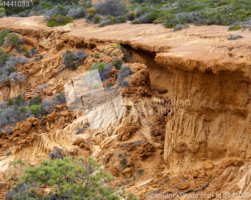 Image of Collapsed cliffl in Torrey Pines State Park