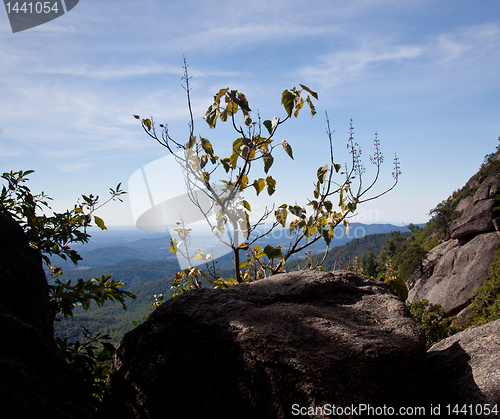 Image of Hiker overlooking Shenandoah valley