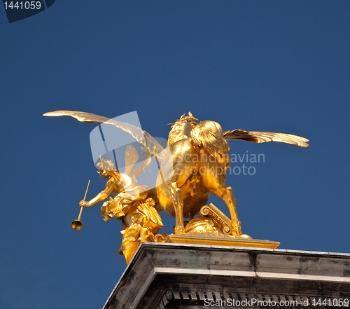 Image of Unusual shot of the rear of golden horse