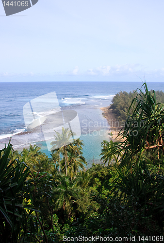 Image of Ke'e beach with green trees and palms in foreground