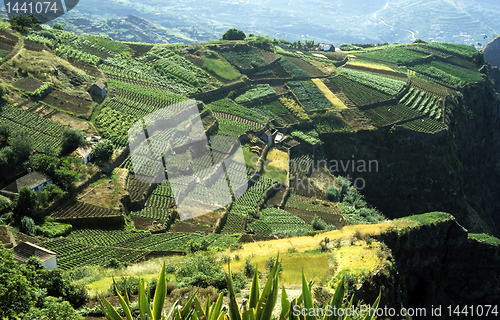 Image of Terraced Fields