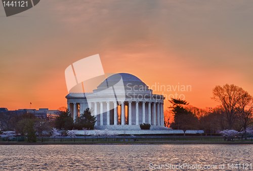 Image of Cherry Blossom and Jefferson Memorial