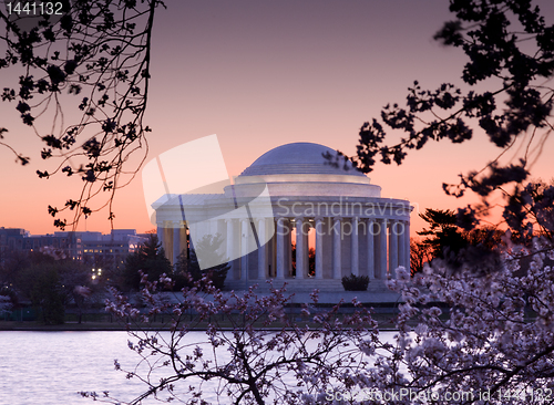 Image of Cherry Blossom and Jefferson Memorial