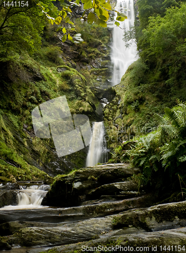 Image of Vertical waterfall in Wales