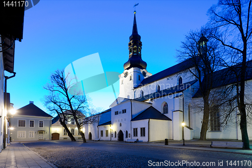 Image of Dome church in Tallinn